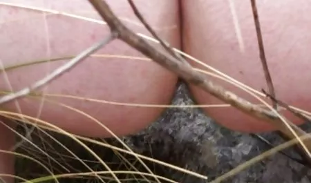 2Key Zachodu biust kobieta wielkie cycki filmy porn za darmo wielkie cycki