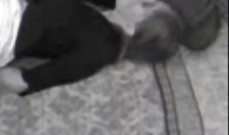 Kubański Angelina Castro chomikuj filmy xx młody czarny biały royal księżniczka anal!